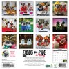 Willow Creek Press 12"x12" 2026 Doug the Pug and Dory Wall Calendar - 2 of 4
