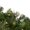 Northlight Pre-Lit Kingston Cashmere Pine Commercial Artificial Christmas Wreath - 60" - LED Warm White - 2 of 4