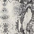 grey snakeskin