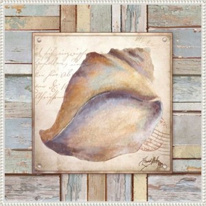 Amanti Art Beach Shell II by Elizabeth Medley Canvas Wall Art Print Framed 22 x 22-in. - 1 of 4