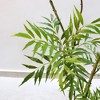 6ft Artificial Mahonia Fortunei Tree in Pot, Realistic Faux Umbrella Plant for Home, Office, Balcony, Living Room, or Lobby Decor - 4 of 4