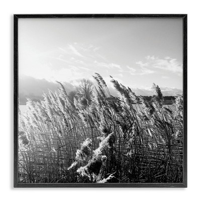 Stupell Industries Tall Grass Lake Water Landscape, 17" x 17"