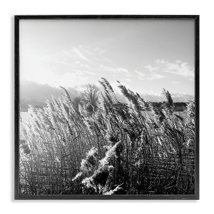 Stupell Industries Tall Grass Lake Water Landscape, 17" x 17" - 1 of 4