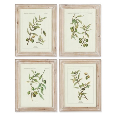 Plum & Post Framed Olive Leaf Botanical Prints Set of 4