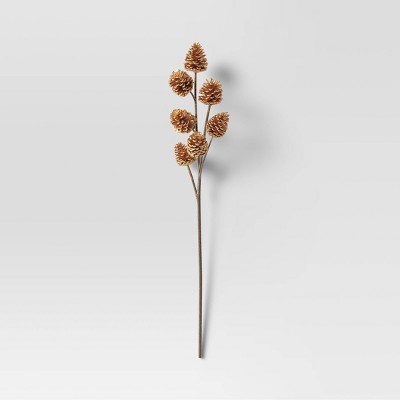 Pinecone Branch Stem - Threshold™