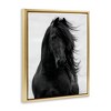Stupell Industries Black Stallion Horse Portrait Floating Frame Canvas Art - 2 of 4