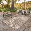 Paseo Paume Outdoor Rug - Avenue33 - 3 of 3