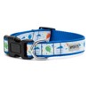 The Worthy Dog Birthday Adjustable Dog Collar - 3 of 3