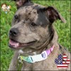 Country Brook Petz Deluxe Fashion Zebra Dog Collar - Made in the U.S.A. (1/2 Inch, Extra Small) - 2 of 4