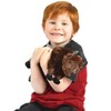 Billy The Bison - 10 Inch Stuffed Animal Plush - By Viahart - 2 of 4