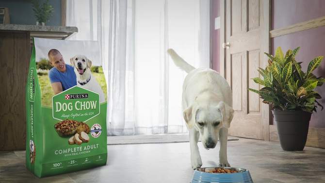 Purina Dog Chow with Real Beef Adult Complete & Balanced Dry Dog Food, 2 of 10, play video