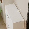 Hitow Tipping Shoe Cabinet Double Drawer Minimalist Lightweight Design - 4 of 4