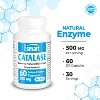 SuperSmart Catalase 500mg per Day (12500 CatU) - Natural Enzyme - Anti Gray Hair Supplement | Non-GMO & Gluten Free - 60 Delayed Release Capsules - 4 of 4