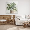 Stupell Industries Lush Green House Plant Leaves Detailed Painting, 36" x 36" - 2 of 4