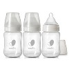 Evenflo 3pk Balance Wide-Neck Anti-Colic Baby Bottles Glass - 6oz - image 2 of 4