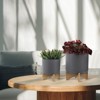 VisioGear 2PCS Round Planter with Wooden Stand, Plant Pots for Living Room, Bedroom, Grey, 10"*10"*12" - 2 of 4