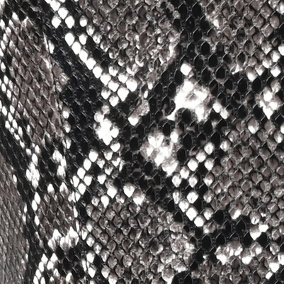 snake