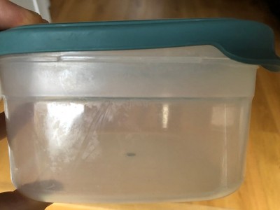 Joseph Joseph Nested Food Storage Containers with Airtight Lids – All About  Tidy