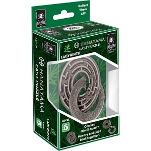 BePuzzled Hanayama Labyrinth Cast-Metal Brain Teaser Puzzle, Level 5, Ages 12+, Brainteaser - 1 of 3