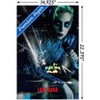 Trends International Lady Gaga - Live Unframed Wall Poster Prints - 3 of 4