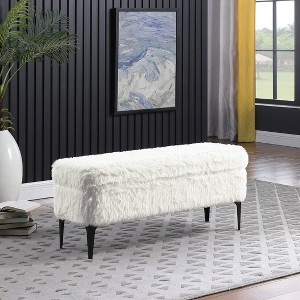 Large Modern Storage Bench - HomePop - 1 of 4