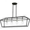 Livex Lighting Devone 4 - Light Chandelier in  Black/Brushed Nickel - 4 of 4