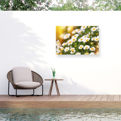 Trademark Fine Art - Beata Czyzowska Young Sunny Days Matted Framed Art