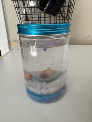 Guest review image 2 of 2, zoom in