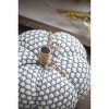 Gulches Series Multicolored Shatterproof Grid Pumpkin Harvest Festival Ornament - 3 of 4