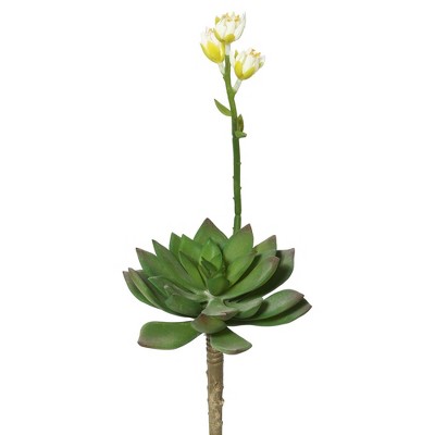 11" 3pk Artificial Echeveria - Vickerman