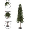 Perfect Holiday 6' Natural Alpine Tree - 4 of 4