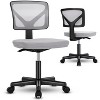 NicBex Office Chair with Adjustable Height Modern Nylon Mesh Armless Computer Chair with Wheels and Lumbar support for Office, Study, Bedroom - 3 of 4