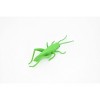 Collectible Wildlife Gifts | Grasshopper, Plastic Toy Animal,  Gift, Realistic Figure, Educational Model,  Gift,    3 inches long     F1661 B74 - 4 of 4