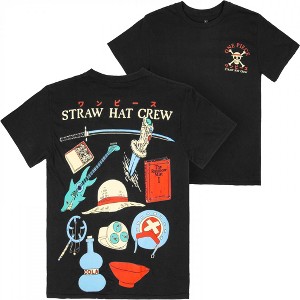 Adult One Piece Straw Hat Crew Icons Front Back Print T-Shirt - 1 of 4