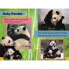 Smithsonian All-Star Readers Pre-Level 1: Adorable Baby Animals - (Smithsonian Leveled Readers) by Courtney Acampora (Paperback) - 3 of 4
