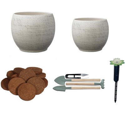 Alberta Indoor Gardening Kit with Gray Wood Optics Ceramic Pots – 5pc Set