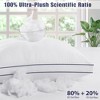 2 Pack Bed Pillows - Standard Size Set of 2, Soft Down Alternative Fill, Supportive for All Sleepers, White - 2 of 4