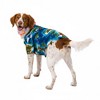 Luau Dog Back, Chest Adult Costume - 3 of 4