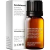 Sandalwood Essential Oils -Gya Labs Sandalwood Oils - 2 of 4