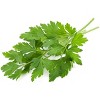 Fresh Cilantro (Coriander) Leaves - 2.5-3.5oz - Rani Brand Authentic Indian Products - image 4 of 4