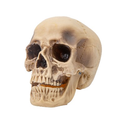 Sunstar Realistic Rotting Skull Halloween Decoration - 7 in - Gray