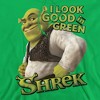 Shrek Looking Good Adult Pull-Over Hoodie - image 2 of 4