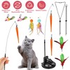iMountek "2 Cat Wand Toys with Suction Cup & Double Head, 9Pcs Teaser Replacements with Bell for Interactive Fun"Black - 4 of 4