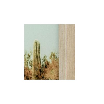 Saguaro Cacti Landscape Framed Glass Wall Art
