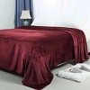 PiccoCasa 330 GMS Microfiber Polyester Luxury Flannel Fleece Soft Bed Blankets - 2 of 4