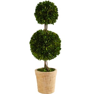 Nearly Natural 2.5-ft Preserved Boxwood Double Ball Topiary Tree in Decorative Planter - 1 of 2