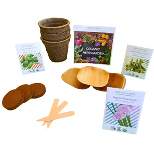 Hortiki Plants Organic Herb Garden Seed Starting Kit