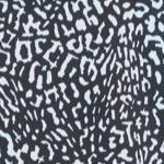 black white leopard