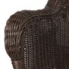 Northlight Hand Woven Resin Wicker Porch Swing with Chain - Dark Brown - 4 of 4