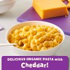 Annie's Organic Super! Mac Real Aged Cheddar Mac and Cheese - 24oz/4ct - 3 of 4